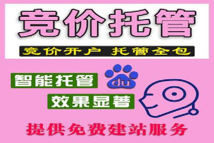 SEM托管案例分析：品牌如何快速崛起